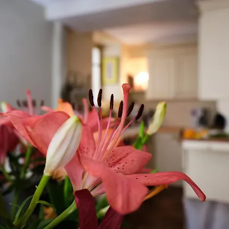Villa Maison Chez Nous