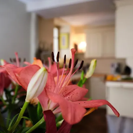 Villa Maison Chez Nous *
