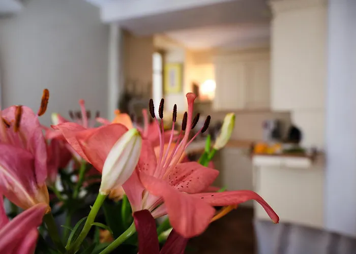 Villa Maison Chez Nous
